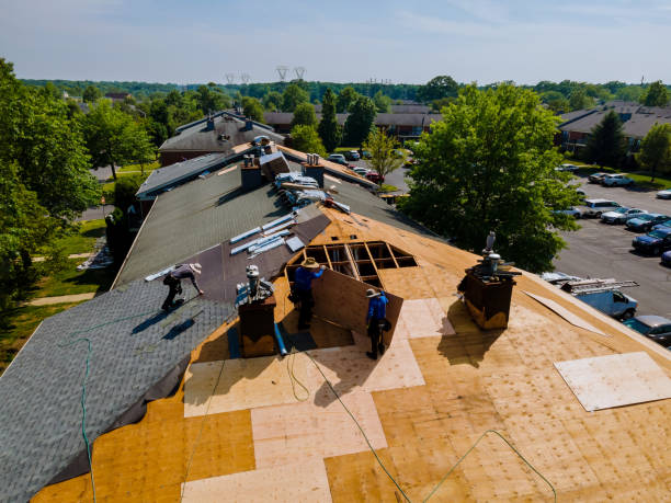 Best Flat Roof Repair Services  in Lauderdale, MN