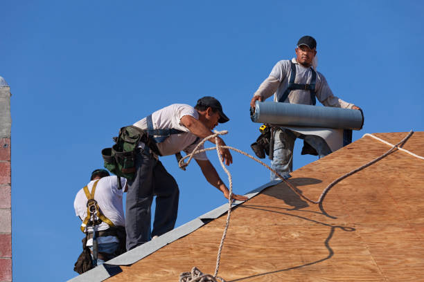Best Best Roofing Contractors  in Lauderdale, MN