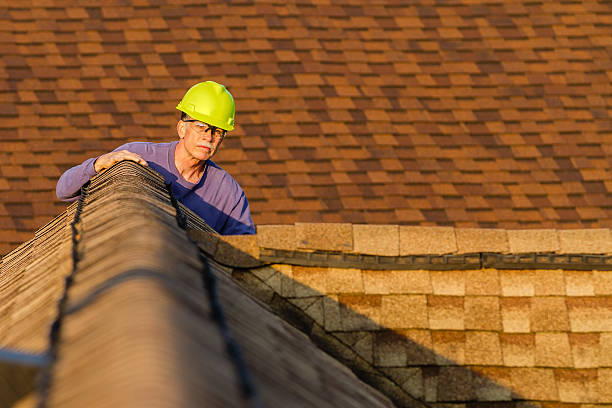 Best Roof Leak Repair  in Lauderdale, MN
