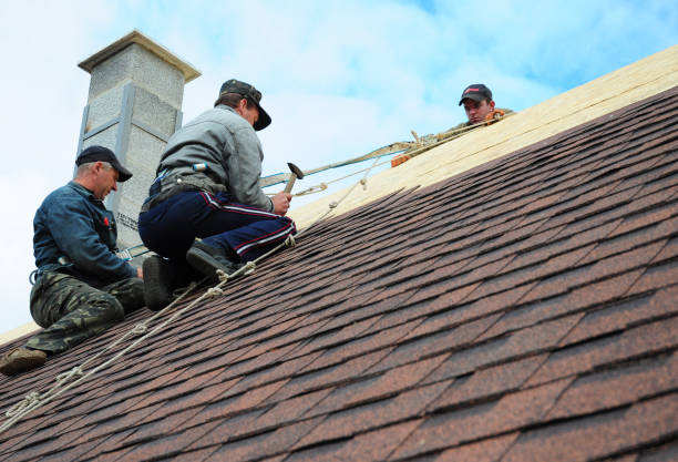 Best Commercial Roofing Services  in Lauderdale, MN
