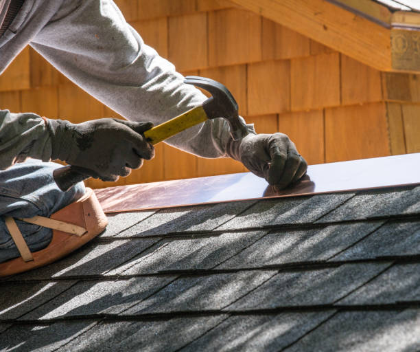 Best Roof Gutter Cleaning  in Lauderdale, MN